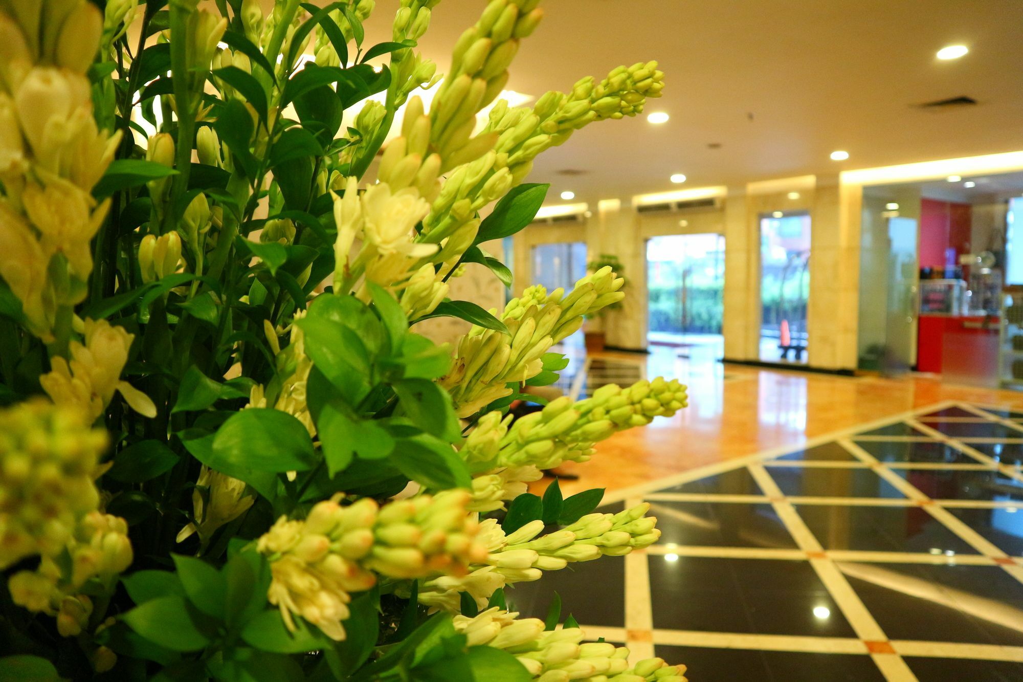 Horison Arcadia Mangga Dua Hotel Jakarta Exterior foto
